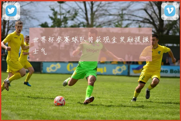 世界杯参赛球队将获现金奖励提振士气