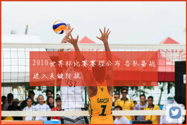 2010世界杯比赛赛程公布 各队备战进入关键阶段