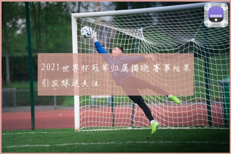 2021世界杯冠军归属揭晓 赛事结果引发球迷关注